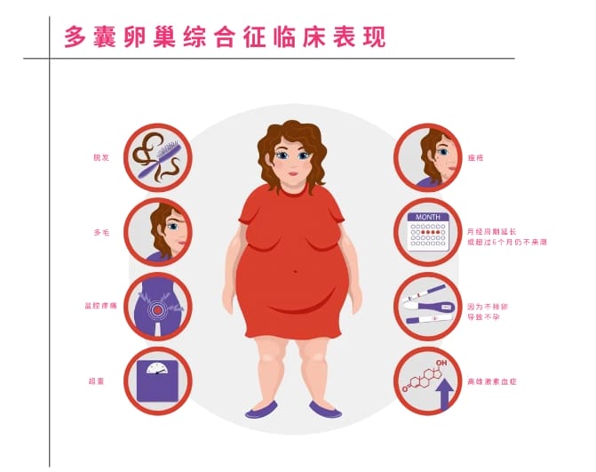 武汉试管婴儿多少钱？2026最新费用明细与省钱攻略