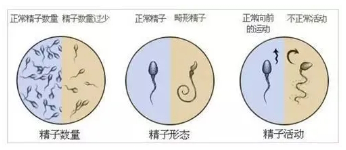 福康助孕合法吗？国内辅助生殖法律边界与黑中介风险科普