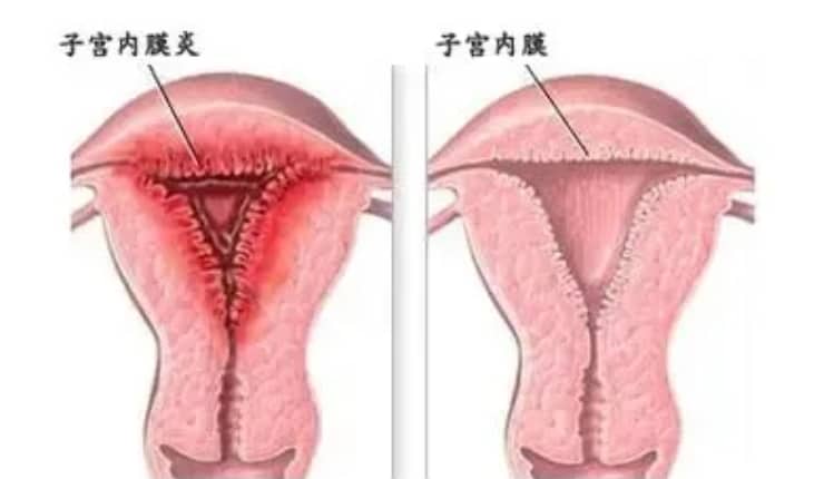 同济医院辅助生殖中心怎么样？技术实力与就诊选择客观对比